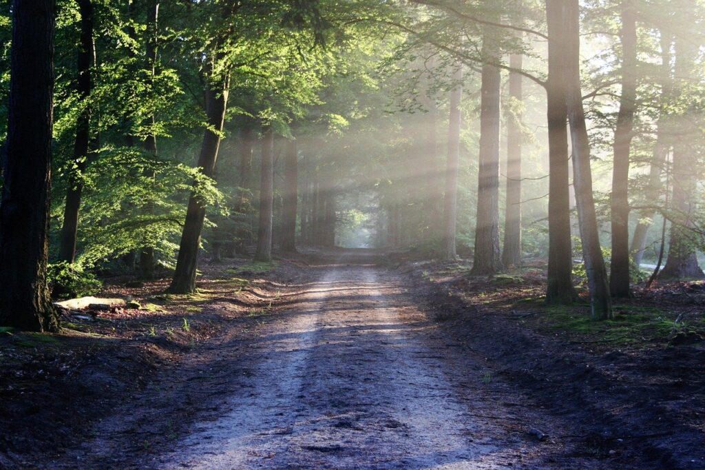 the road, beams, path